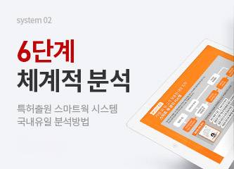 6단계 체계적 분석